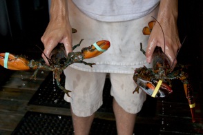 Lobster in Rockport on the North Shore