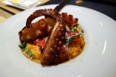Octopus at Els Brots