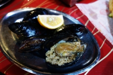 mussels9