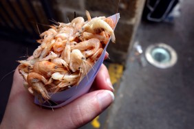 Tiny Shrimp at Mercado Central de Abastos in Cádiz